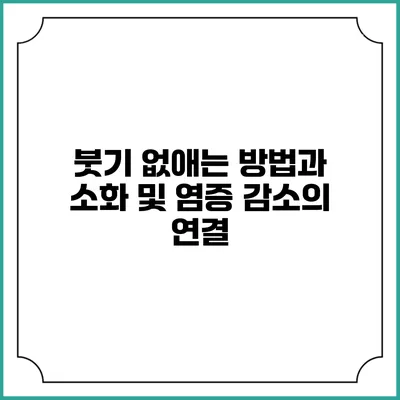 붓기 없애는 방법과 소화 및 염증 감소의 연결