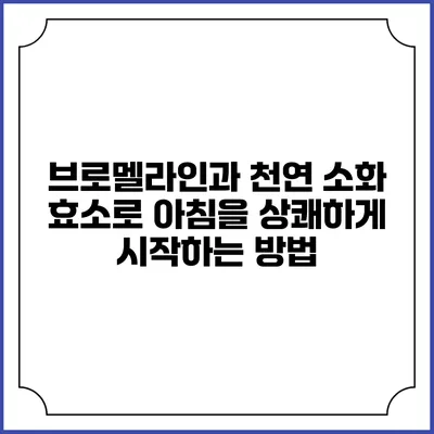 브로멜라인과 천연 소화 효소로 아침을 상쾌하게 시작하는 방법
