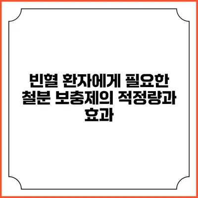 빈혈 환자에게 필요한 철분 보충제의 적정량과 효과