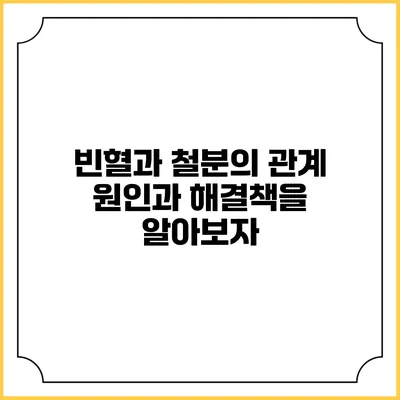 빈혈과 철분의 관계: 원인과 해결책을 알아보자