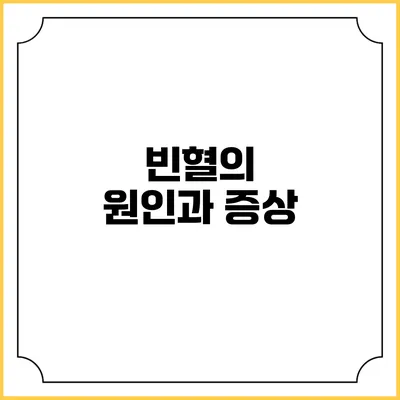 빈혈의 원인과 증상