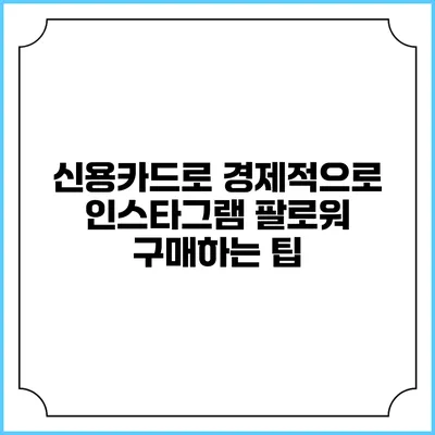 신용카드로 경제적으로 인스타그램 팔로워 구매하는 팁
