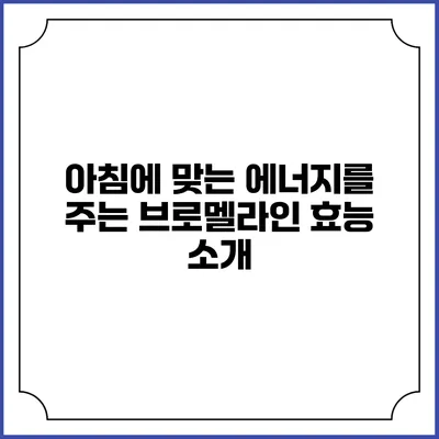 아침에 맞는 에너지를 주는 브로멜라인 효능 소개