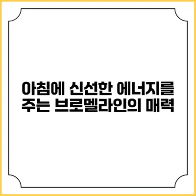 아침에 신선한 에너지를 주는 브로멜라인의 매력