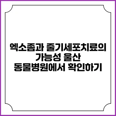 엑소좀과 줄기세포치료의 가능성: 울산 동물병원에서 확인하기