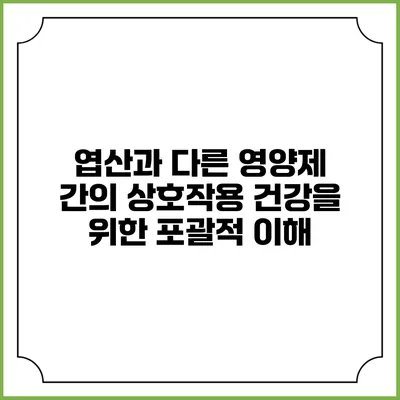 엽산과 다른 영양제 간의 상호작용: 건강을 위한 포괄적 이해