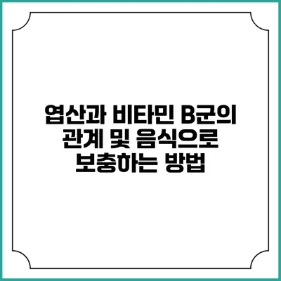 엽산과 비타민 B군의 관계 및 음식으로 보충하는 방법