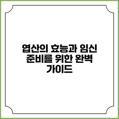 엽산의 효능과 임신 준비를 위한 완벽 가이드