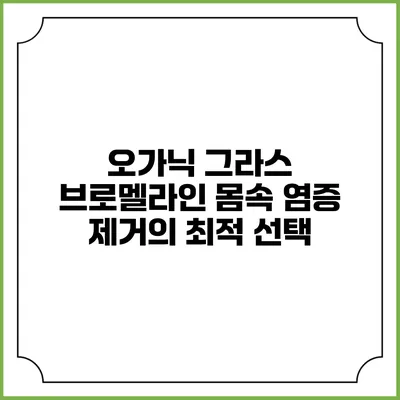 오가닉 그라스 브로멜라인: 몸속 염증 제거의 최적 선택