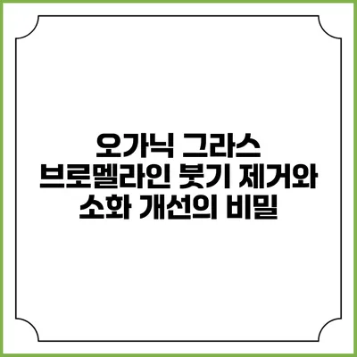 오가닉 그라스 브로멜라인: 붓기 제거와 소화 개선의 비밀