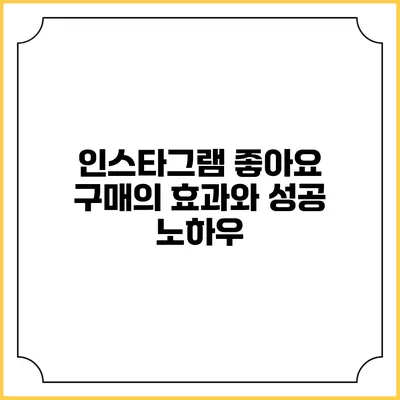 인스타그램 좋아요 구매의 효과와 성공 노하우