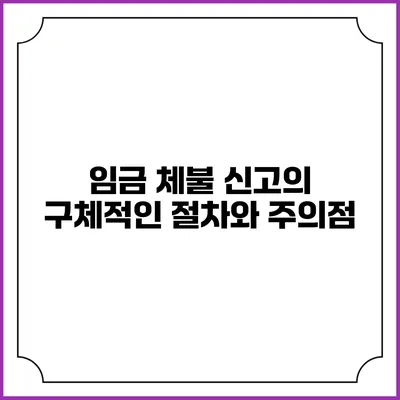 임금 체불 신고의 구체적인 절차와 주의점