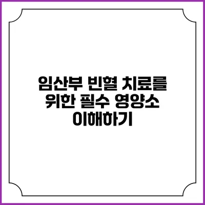 임산부 빈혈 치료를 위한 필수 영양소 이해하기