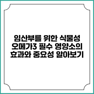 임산부를 위한 식물성 오메가3: 필수 영양소의 효과와 중요성 알아보기