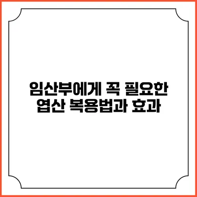 임산부에게 꼭 필요한 엽산: 복용법과 효과
