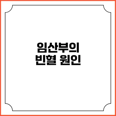 임산부의 빈혈: 원인