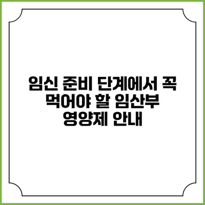 임신 준비 단계에서 꼭 먹어야 할 임산부 영양제 안내