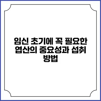 임신 초기에 꼭 필요한 엽산의 중요성과 섭취 방법