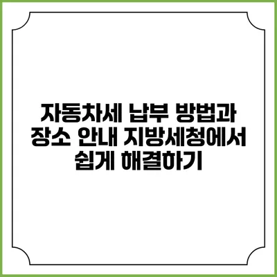 자동차세 납부 방법과 장소 안내: 지방세청에서 쉽게 해결하기