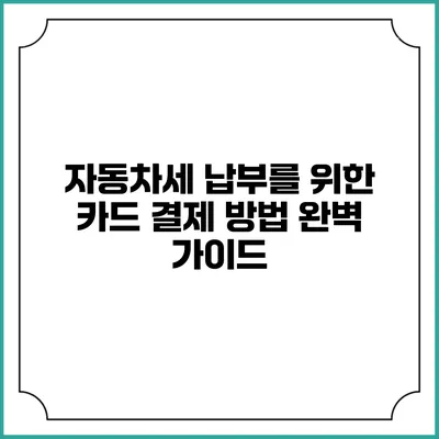 자동차세 납부를 위한 카드 결제 방법 완벽 가이드