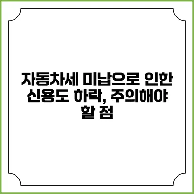 자동차세 미납으로 인한 신용도 하락, 주의해야 할 점