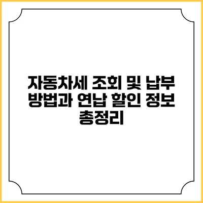 자동차세 조회 및 납부 방법과 연납 할인 정보 총정리