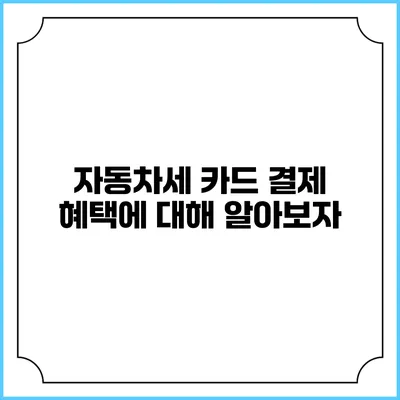자동차세 카드 결제 혜택에 대해 알아보자