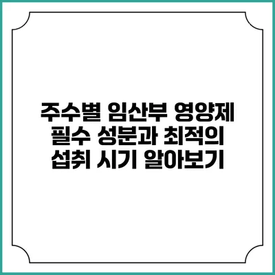 주수별 임산부 영양제: 필수 성분과 최적의 섭취 시기 알아보기