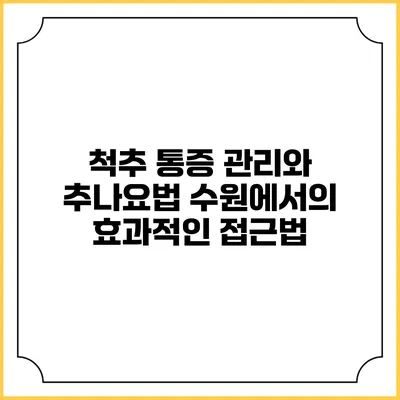 척추 통증 관리와 추나요법: 수원에서의 효과적인 접근법