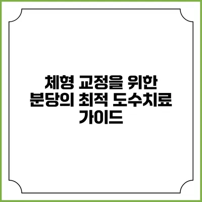 체형 교정을 위한 분당의 최적 도수치료 가이드
