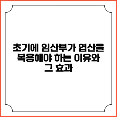 초기에 임산부가 엽산을 복용해야 하는 이유와 그 효과
