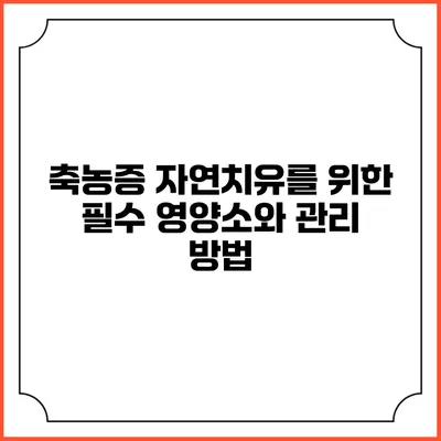 축농증 자연치유를 위한 필수 영양소와 관리 방법