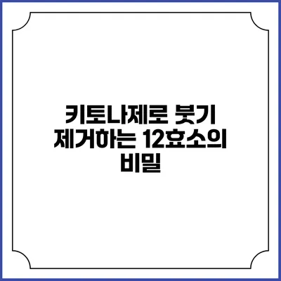 키토나제로 붓기 제거하는 12효소의 비밀