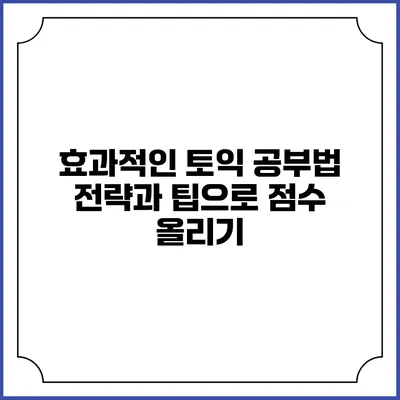 효과적인 토익 공부법: 전략과 팁으로 점수 올리기