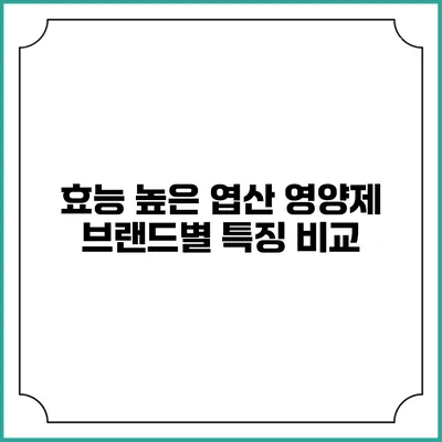 효능 높은 엽산 영양제 브랜드별 특징 비교
