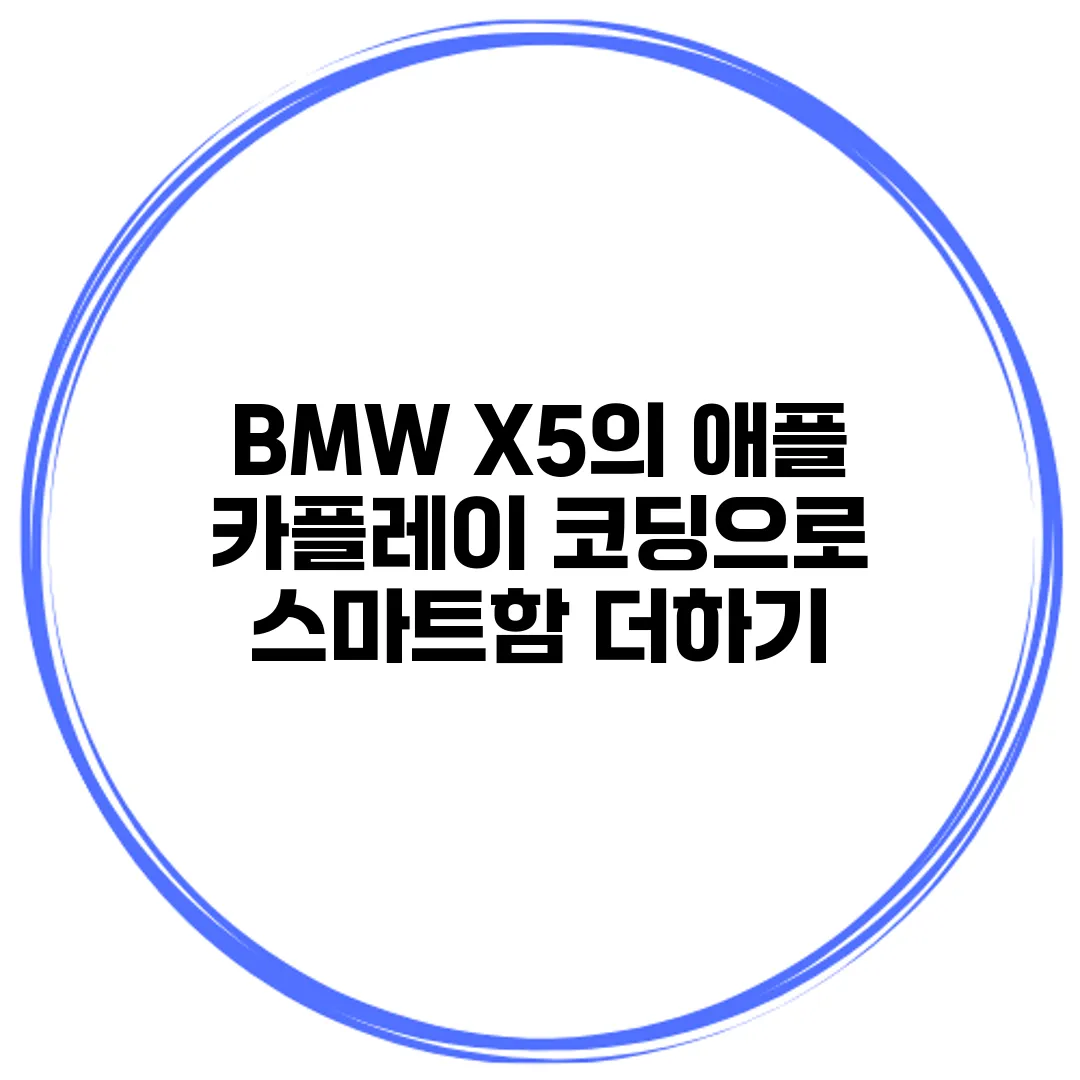 BMW X5의 애플 카플레이 코딩으로 스마트함 더하기