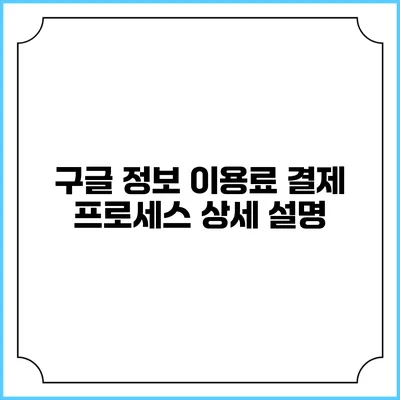 구글 정보 이용료 결제 프로세스 상세 설명