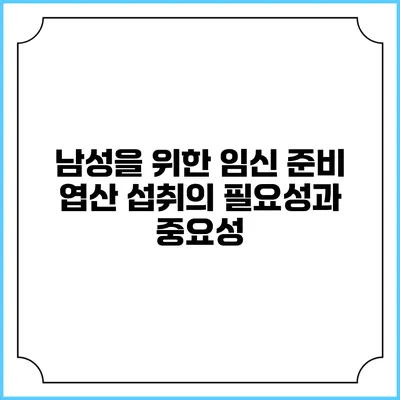 남성을 위한 임신 준비: 엽산 섭취의 필요성과 중요성