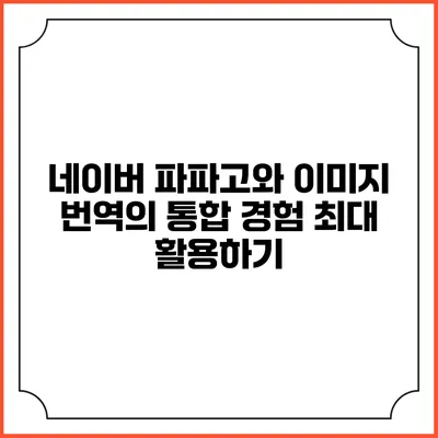 네이버 파파고와 이미지 번역의 통합 경험 최대 활용하기