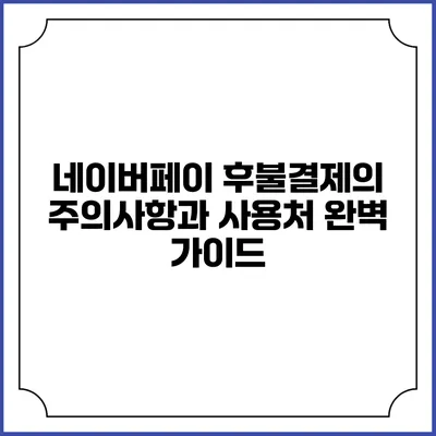 네이버페이 후불결제의 주의사항과 사용처 완벽 가이드