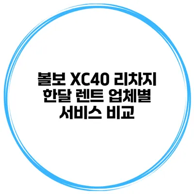 볼보 XC40 리차지 한달 렌트 업체별 서비스 비교