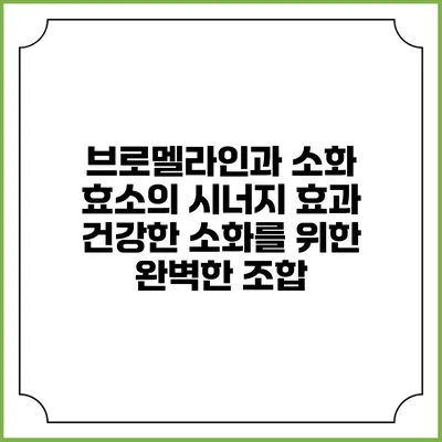 브로멜라인과 소화 효소의 시너지 효과: 건강한 소화를 위한 완벽한 조합