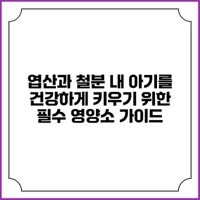 엽산과 철분: 내 아기를 건강하게 키우기 위한 필수 영양소 가이드