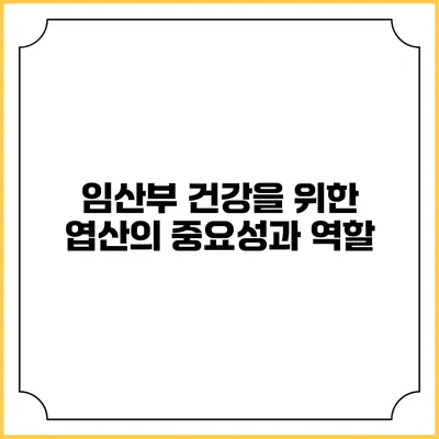 임산부 건강을 위한 엽산의 중요성과 역할