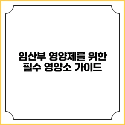 임산부 영양제를 위한 필수 영양소 가이드