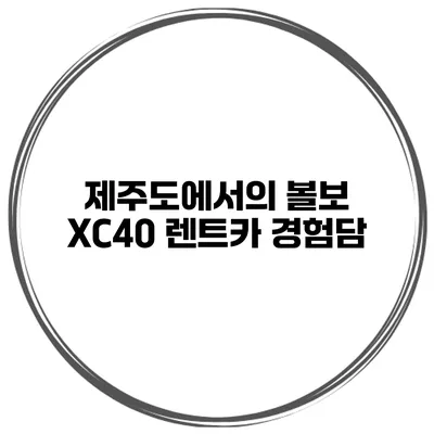 제주도에서의 볼보 XC40 렌트카 경험담