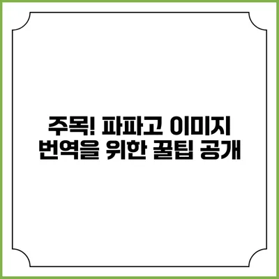 주목! 파파고 이미지 번역을 위한 꿀팁 공개