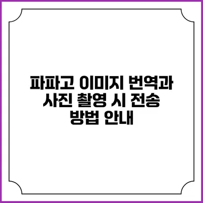 파파고 이미지 번역과 사진 촬영 시 전송 방법 안내