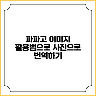 파파고 이미지 활용법으로 사진으로 번역하기