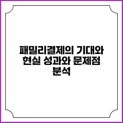 패밀리결제의 기대와 현실: 성과와 문제점 분석